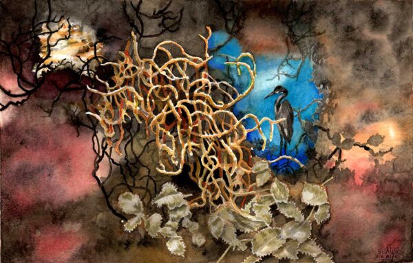 Wych Elm Garden Watercolour Print